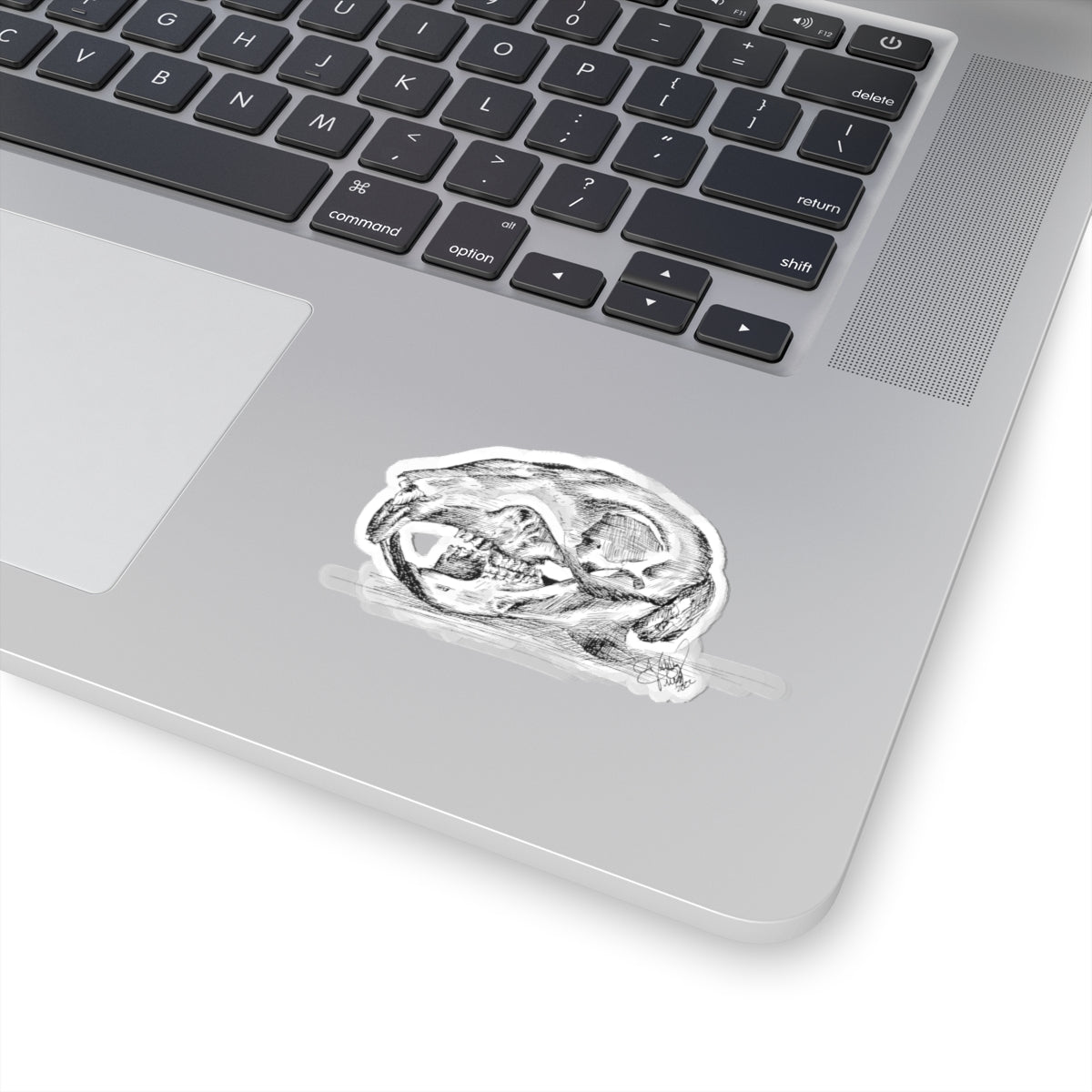 Squirrel Skull Sticker