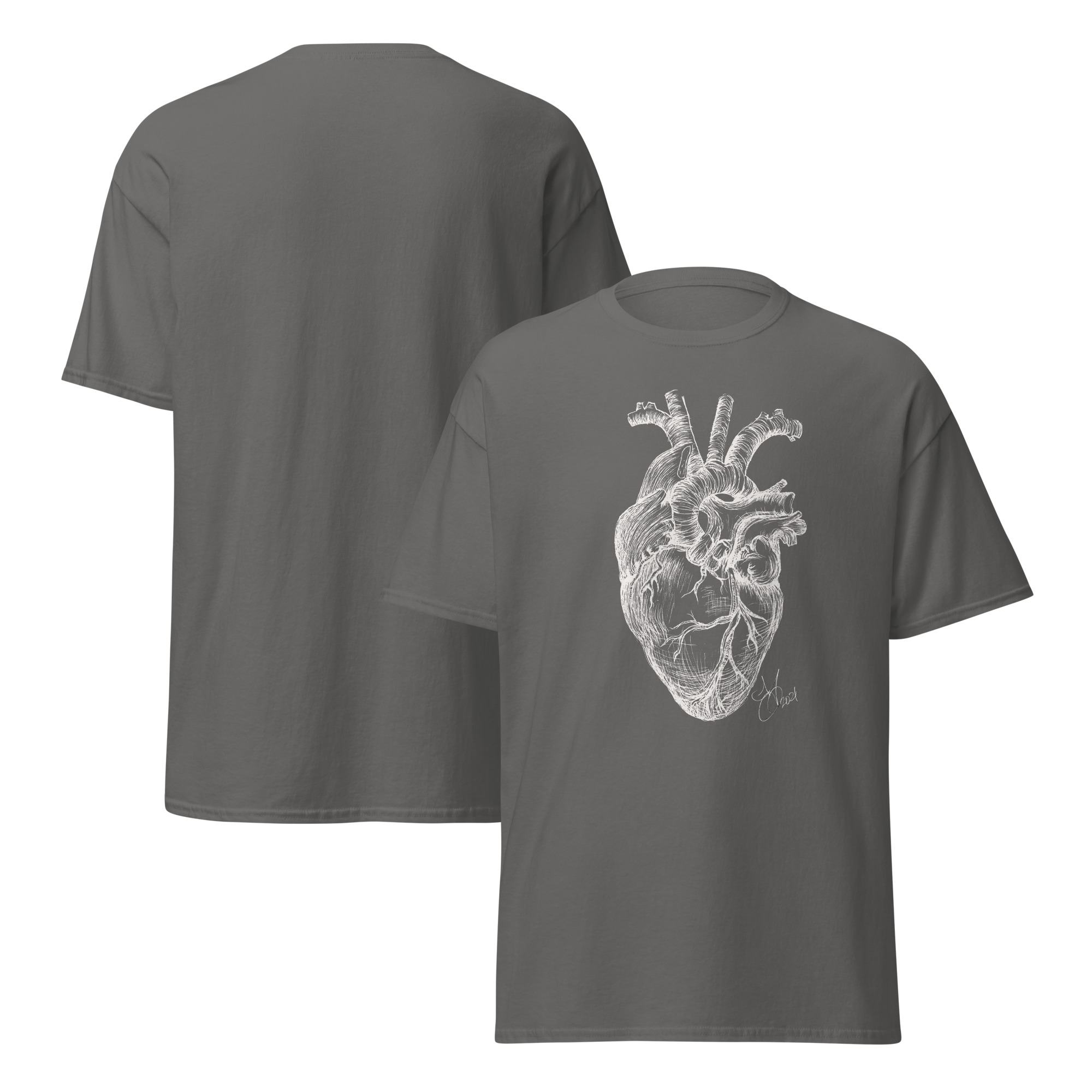 Anatomical Heart - Image 6