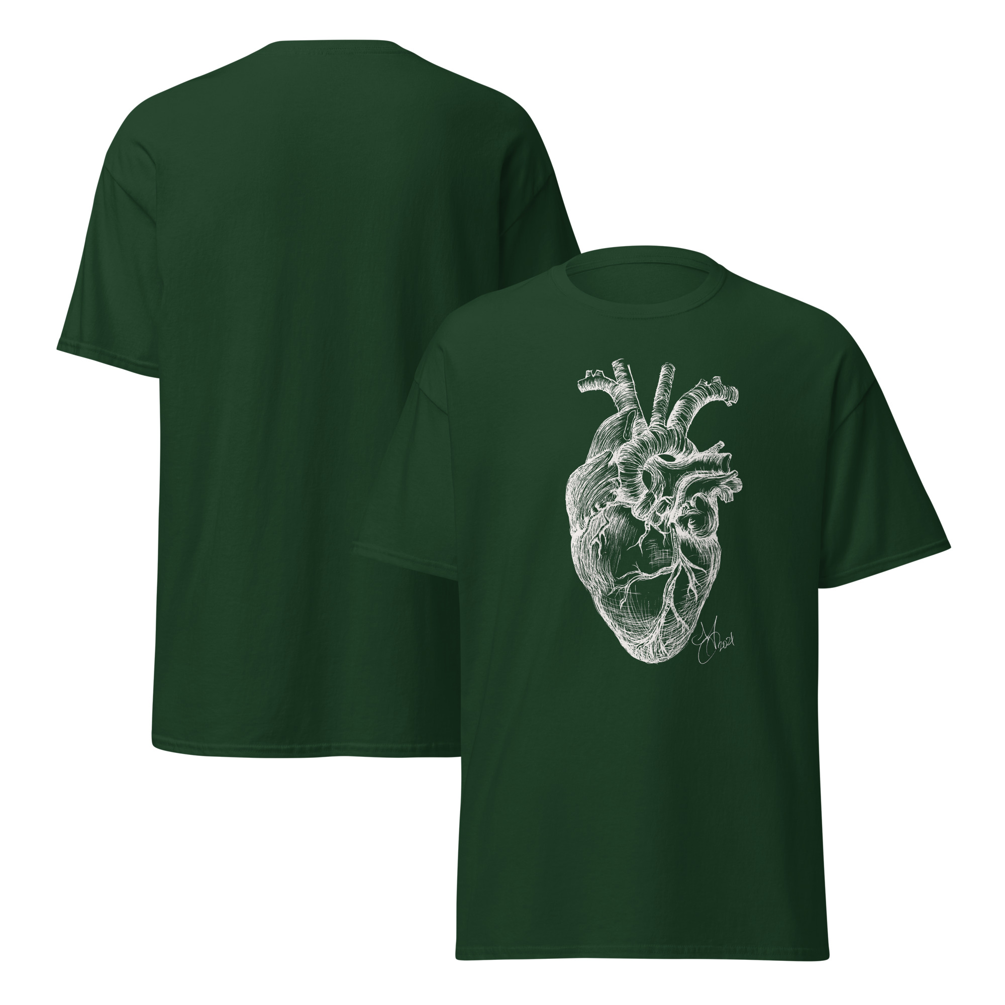 Anatomical Heart - Image 5
