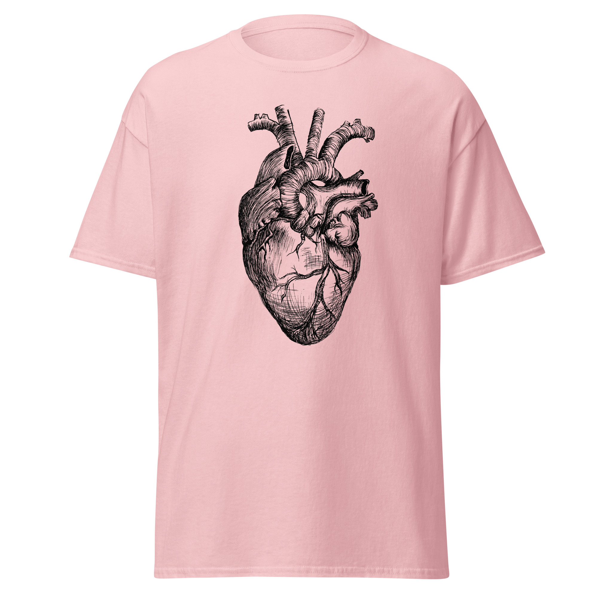 Anatomical Heart - Image 2