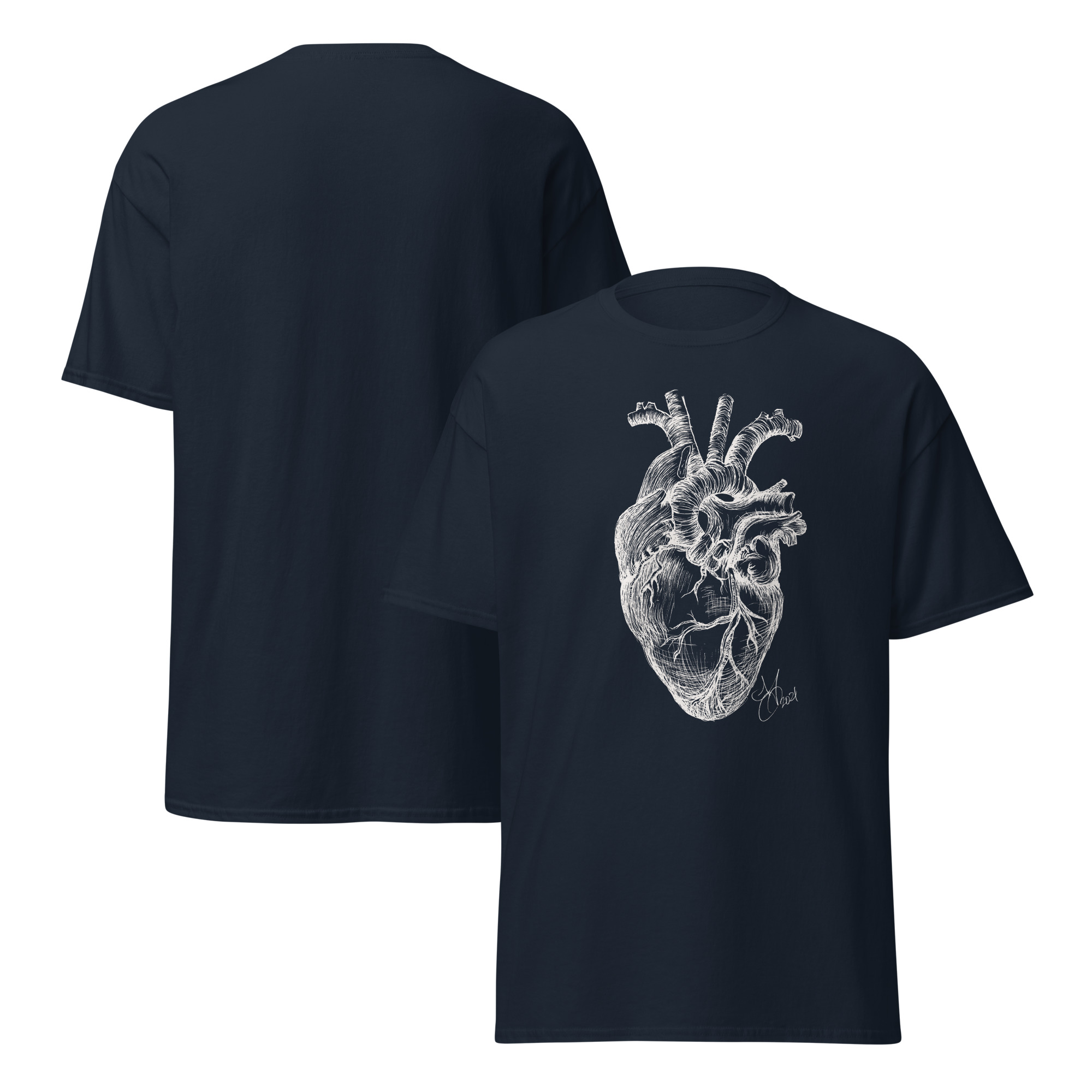 Anatomical Heart - Image 4