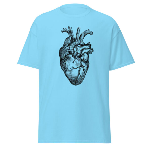 Anatomical Heart