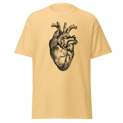 Anatomical Heart - Image 4