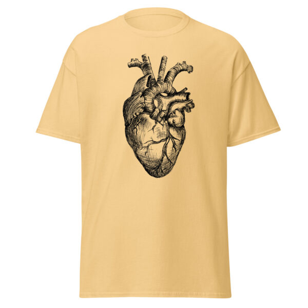 Anatomical Heart
