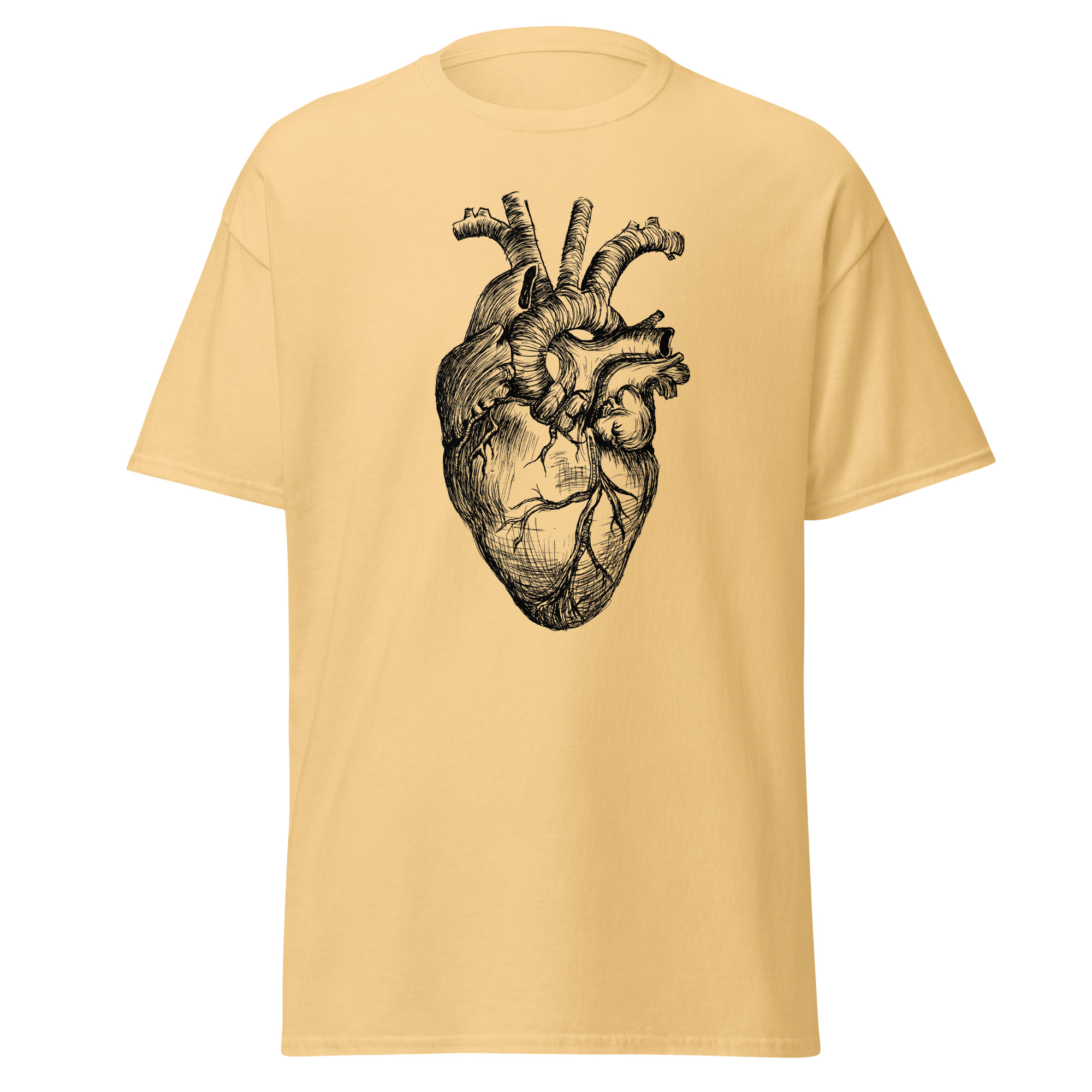 Anatomical Heart - Image 4